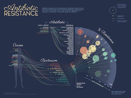 Antibiotic Resistance
